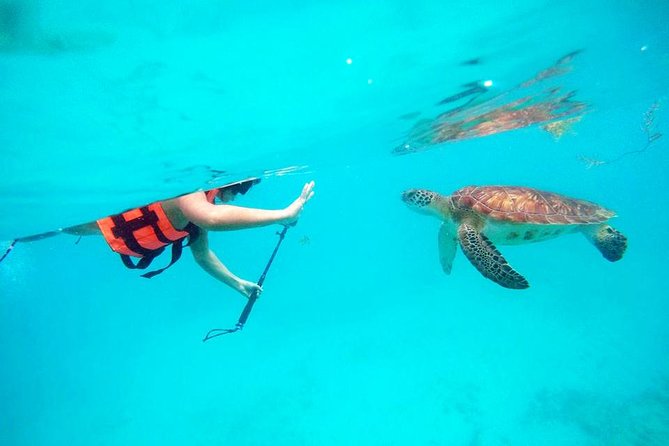 Private Tour Tulum, Reef & Cenote-Cavern from Playa del Carmen - Morning pickup in Playa del Carmen: flexibility plus fewer headaches