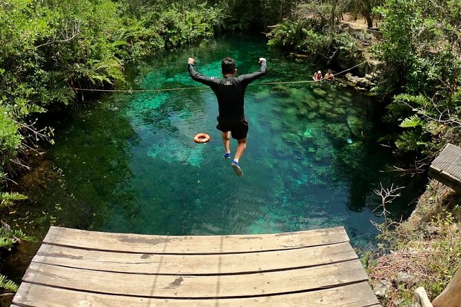 Private Tour Tulum Tortugas Cenote Beach All Inclusive - Sea-view lunch in Akumal: tacos, ceviche, and spice choices