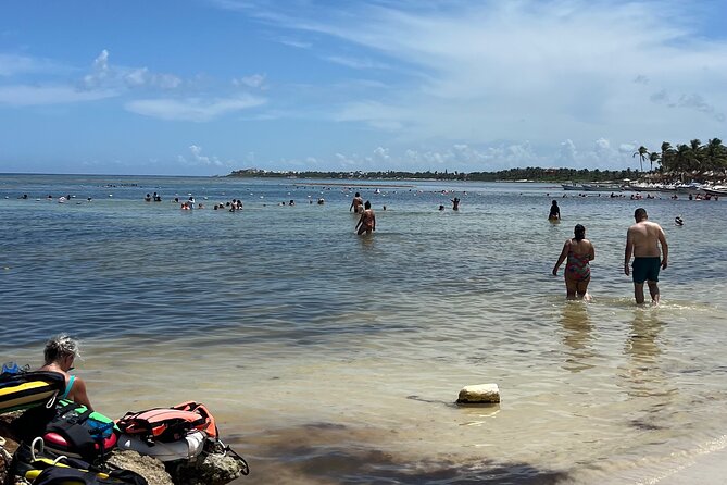 Private Tour: Turtle Swim & Cenote - Pickup and meeting points: how to make the day start smoothly