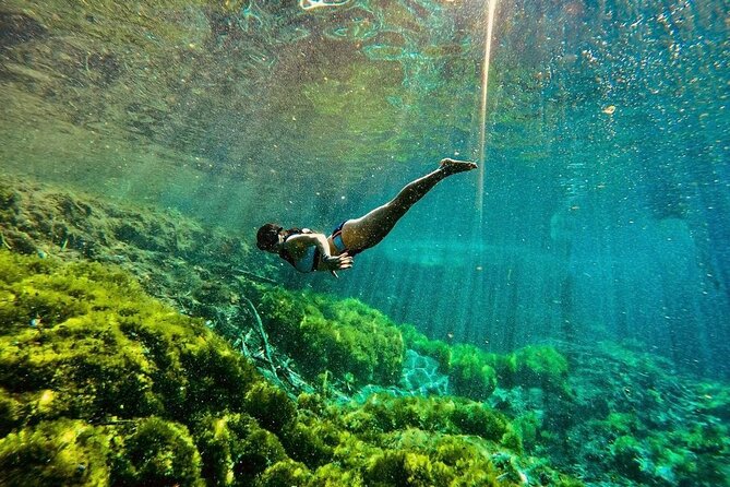Private Tour Turtles Coral Reef Cenote Beach All inclusive - Akumal Turtle Snorkeling and Coral Reef Time (Without the Herd Mentality)
