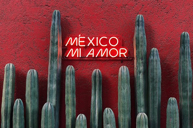 Private Transfer from Playa del Carmen to Tulum - Dropping off in Tulum: arrive where you actually want to be