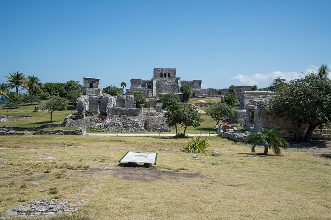 Private Tulum & Coba Discovery with Cenote Adventure - Ocean Tours cenote adventure: snorkeling in a private natural pool