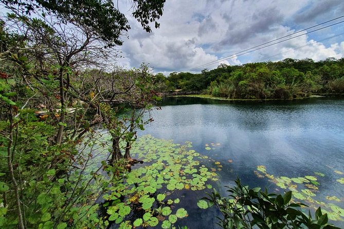 Private - Tulum Ruins and 3 Cenotes Jungle Adventure - Tankah Tres: Three Cenotes Plus Zip Lines, Canoe, and Jungle Trails