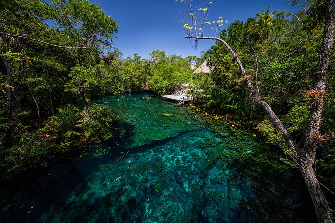 Private - Tulum Ruins and 3 Cenotes Jungle Adventure - Price and Value: What $319 per Person Buys You