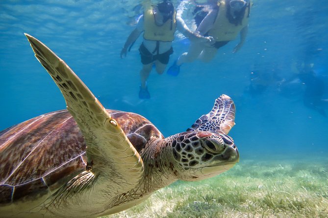Private Tulum Ruins, Turtles in Akumal and Cenote Adventure - Tulum Ruins by the Caribbean: More Than the Usual Photo Stop