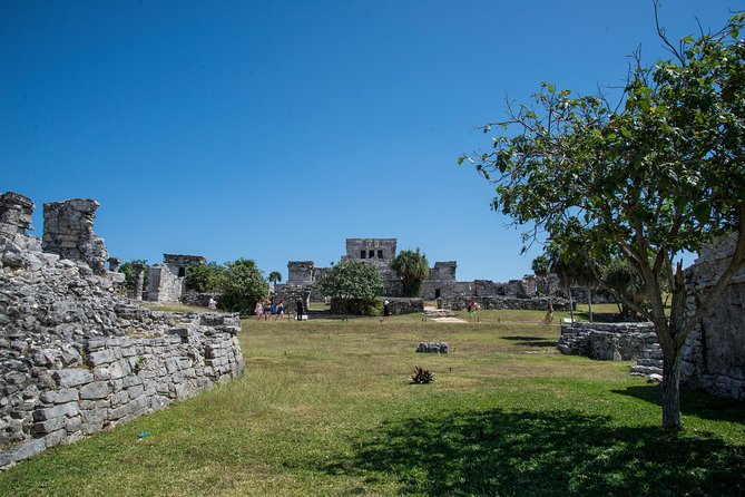 Private Tulum Ruins, Turtles in Akumal and Cenote Adventure - Who This Tour Fits Best (and Who Might Want a Different Plan)