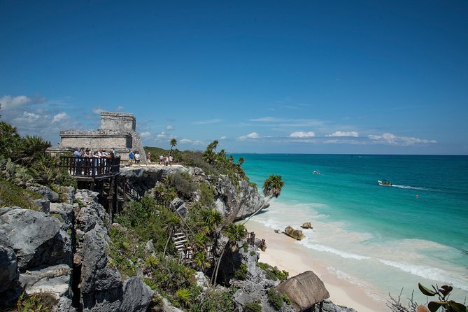 Private Tulum Ruins, Turtles in Akumal and Cenote Adventure - Akumal Beach Turtle Bay Snorkel: What You Should Expect Underwater
