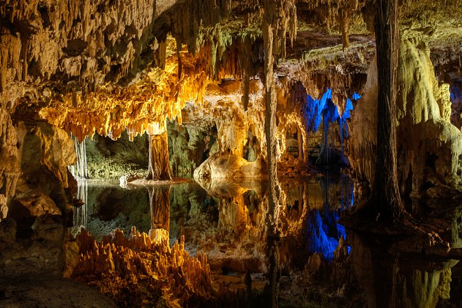 Private Turtles & Cenotes Adventure - A Private Group Experience Built for Real People (Not Just Schedules)