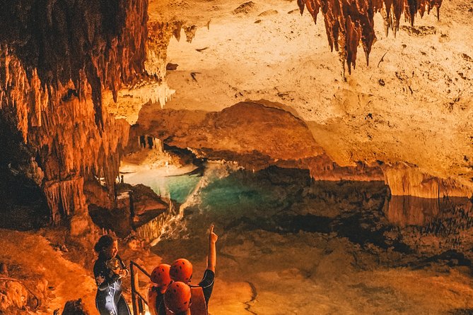Private Turtles & Cenotes Adventure - Price and Value Check for a $310 Half-Day in the Riviera Maya