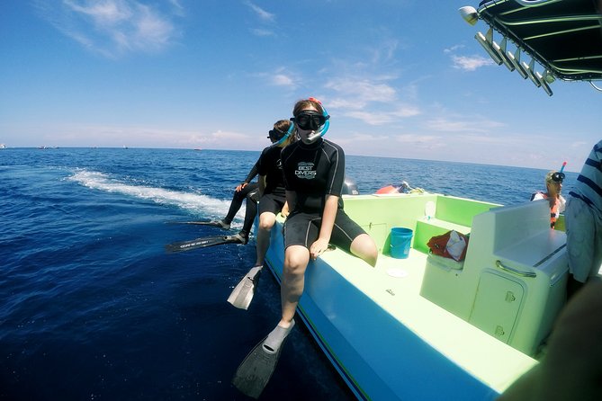 Private Whale Shark All Inclusive Experience - Getting to the dock: pickup timing and a realistic ocean morning