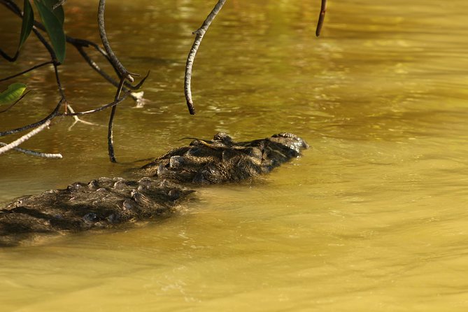 Private Yucatan Discovery Tour - Tickets, what’s included, and the value angle