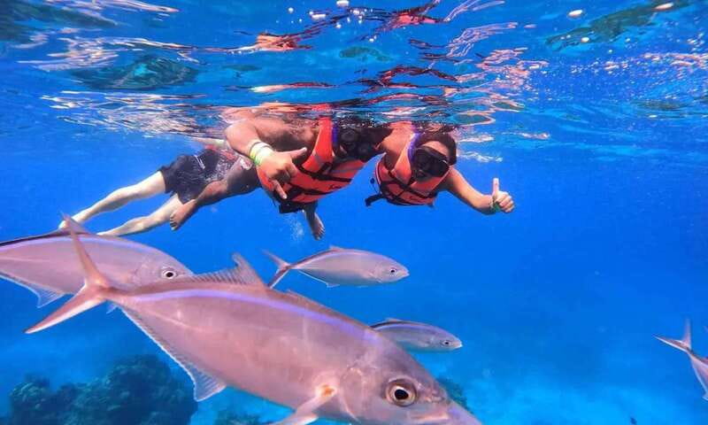 Puerto Morelos: Guided Snorkeling Tour with Gear & Fees - Puerto Morelos Snorkeling, Packed Into 2 Hours