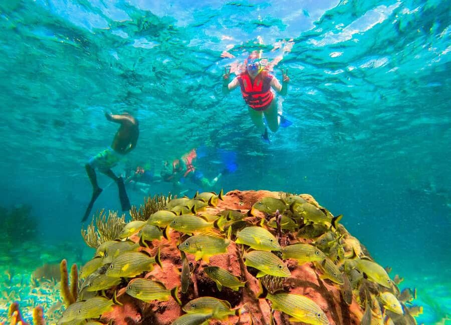 Puerto Morelos: National Reef Park Snorkeling & Beach Lunch - Lunch by the beach in Puerto Morelos: tacos with a real town feel