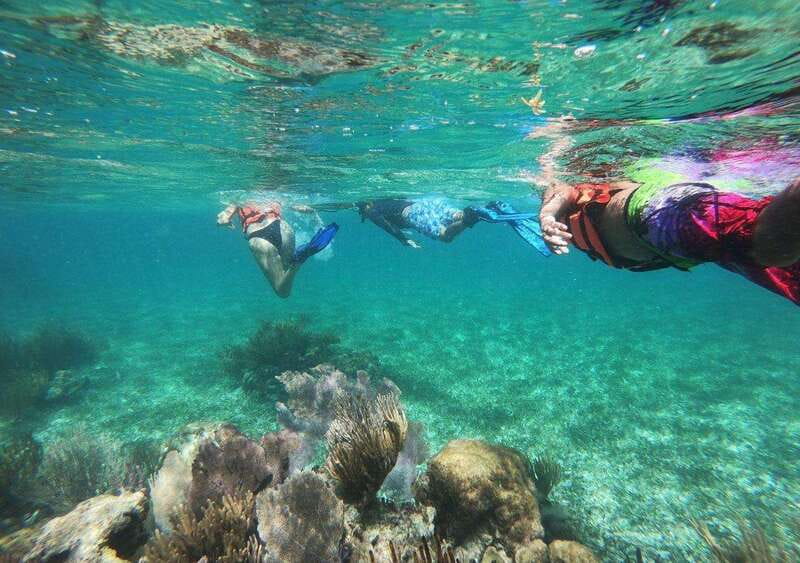 Puerto Morelos: Snorkel in Coral Reef with transportation - Snorkeling at the National Reef Park: what you’re paying for
