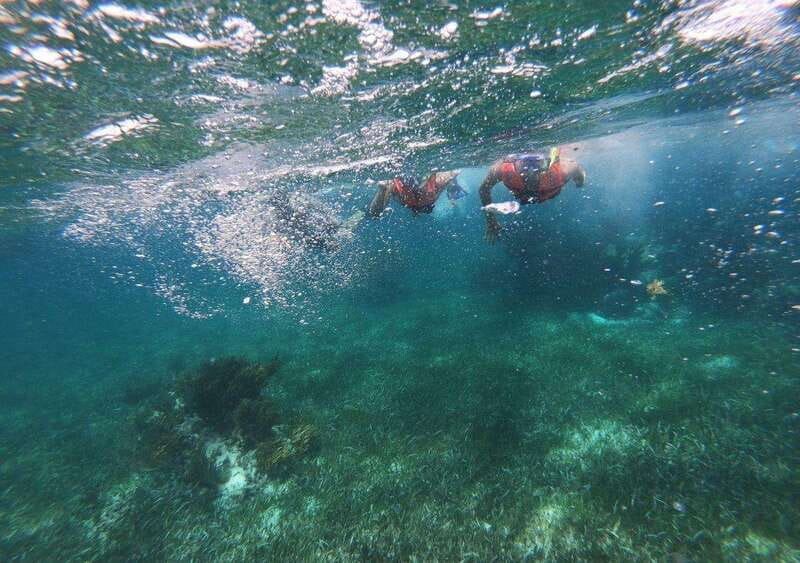 Puerto Morelos: Snorkel in Coral Reef with transportation - The guided swim line: helpful for navigation, sometimes feels rushed