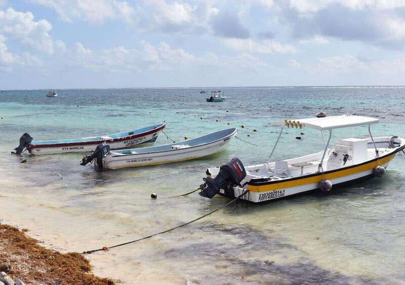 Puerto Morelos: Snorkel in Coral Reef with transportation - Price and value: is $55 a fair deal for this mix?