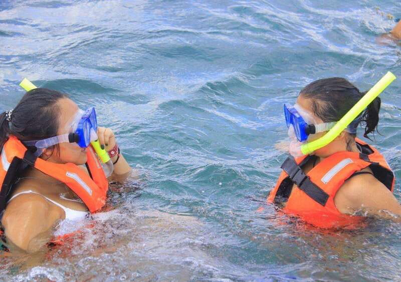 Puerto Morelos: Snorkel in Coral Reef with transportation - Who should book this Puerto Morelos snorkel tour