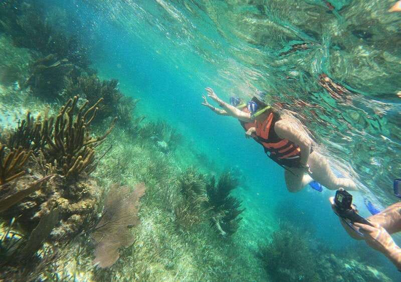 Puerto Morelos: Snorkel in Coral Reef with transportation - Practical tips that make the day smoother