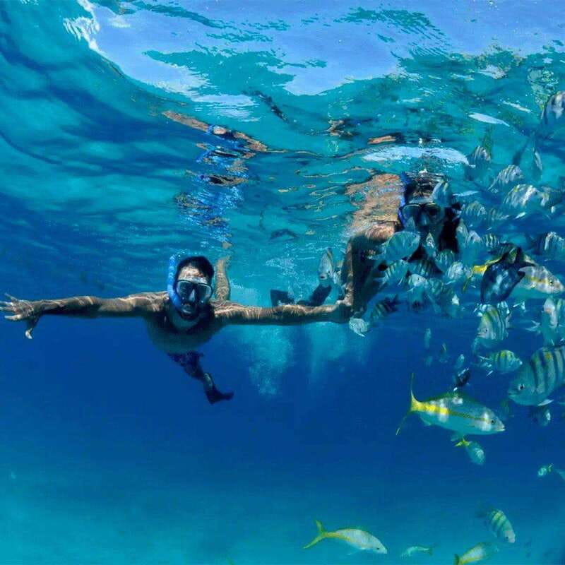 Puerto Morelos: Snorkeling at The National Reef Park - Why Puerto Morelos National Reef Park is worth 2 hours of your time