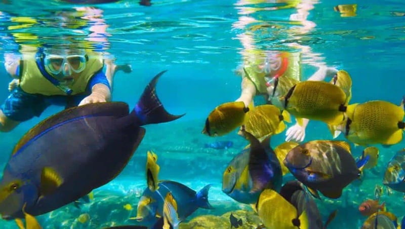 Puerto Morelos: Snorkeling at The National Reef Park - Two snorkeling spots in a shallow reef park (what that means for your eyes)