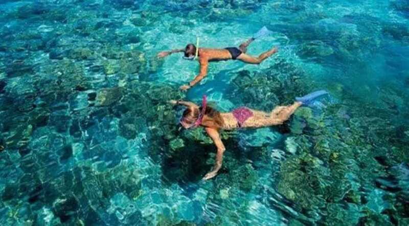 Puerto Morelos: Snorkeling at The National Reef Park - Should you book this Puerto Morelos snorkeling trip?