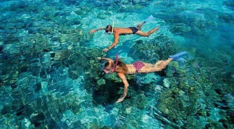 Puerto Morelos: Snorkeling at The National Reef Park - Meeting at Crazy Fish Tacos and getting to the corals fast