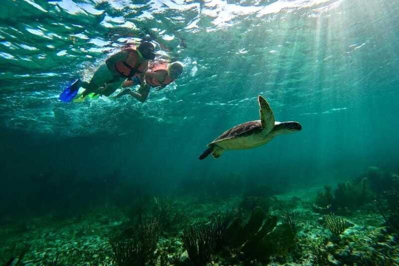 Puerto Morelos: Snorkeling Guided Activity - Price and Value: Is $35 a Good Deal?