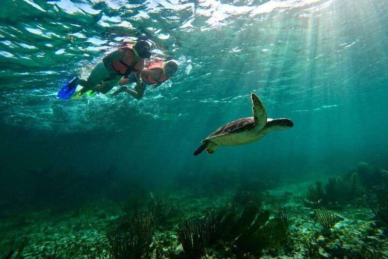 Puerto Morelos: Snorkeling Guided Activity - Your 2-Hour Flow: Briefing, Gear, and Two Reef Stops