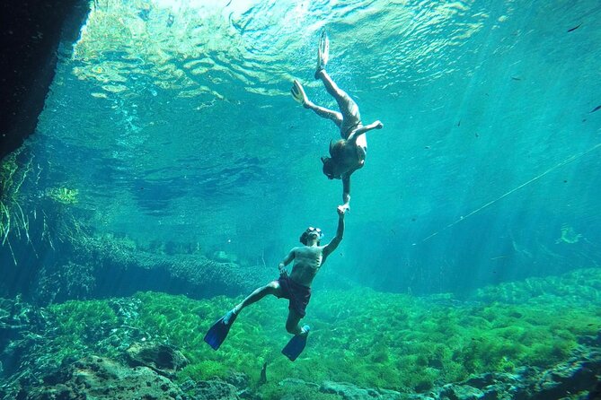 Ride to a life changing cenotes tour - The $50.61 value: bikes, snorkeling gear, lockers, and three cenotes
