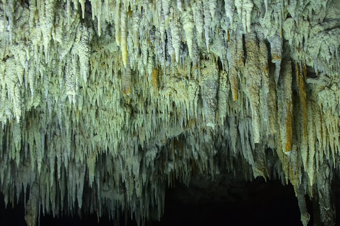 Río Secreto Playa del Carmen - The Rio Secreto route: walking and swimming through cave galleries