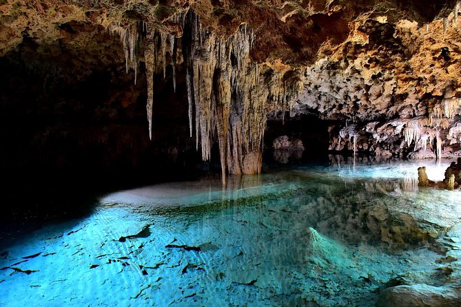 Rio Secreto Skip-the-Line Admission Ticket - The guide experience: what you’ll get from the people running the route
