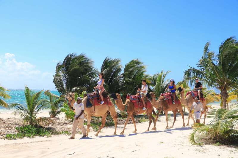 Riviera Maya: Camel Caravan Expedition and Beach Club Access - Riding Along Maroma Beach: Sea Air, Dunes, and the Caribbean View