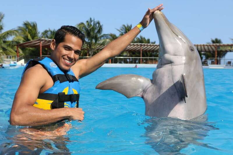 Riviera Maya: Dolphin Encounter with Beach Club Access - Key things worth clocking before you go