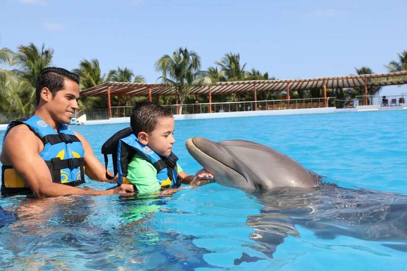 Riviera Maya: Dolphin Encounter with Beach Club Access - The no-phone, no-camera rule (and why it affects value)