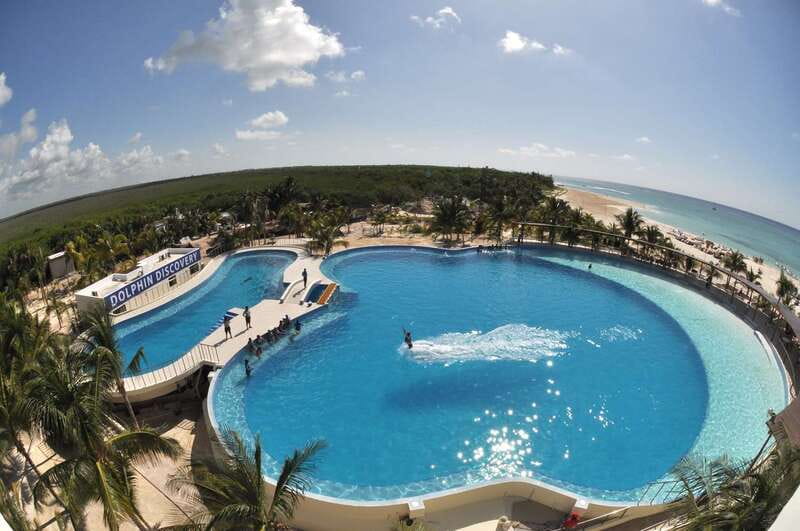 Riviera Maya: Dolphin Encounter with Beach Club Access - Maroma Beach Club and Cocoteros: How to use the rest of your day
