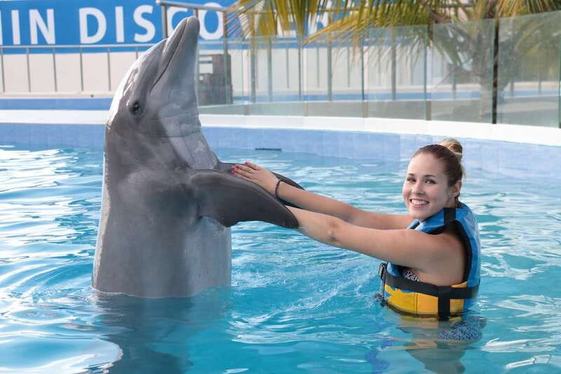 Riviera Maya: Dolphin Encounter with Beach Club Access - Getting there from Cancún: Highway 307 and the Maroma maze