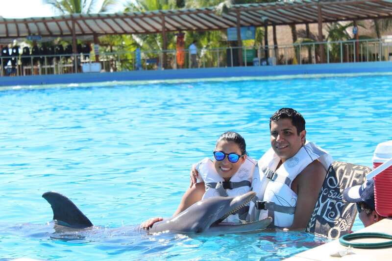 Riviera Maya: Dolphin Encounter with Beach Club Access - In the water: What the dolphin encounter feels like
