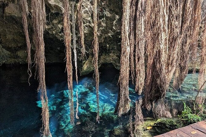 Riviera Maya Half Day Casa Jaguar Cenote, Zipline and ATV - Price and Value: Is $80 Worth It?