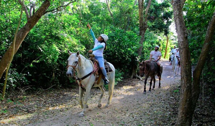 Riviera Maya: Horseback Riding at Rancho Bonanza - Natural Chewing Gum: Learning How Nature Makes Materials