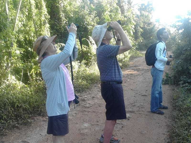 Riviera Maya: Puerto Morelos 4-Hour Bird Watching Tour - Return by Van: Closing Out the Morning with Comfort