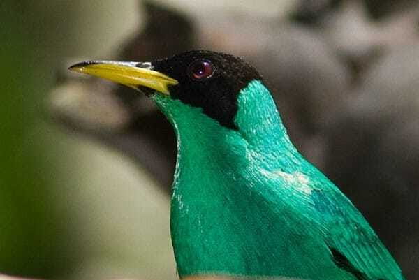 Riviera Maya: Puerto Morelos 4-Hour Bird Watching Tour - Price and Value: What $690 Per Group Really Buys You