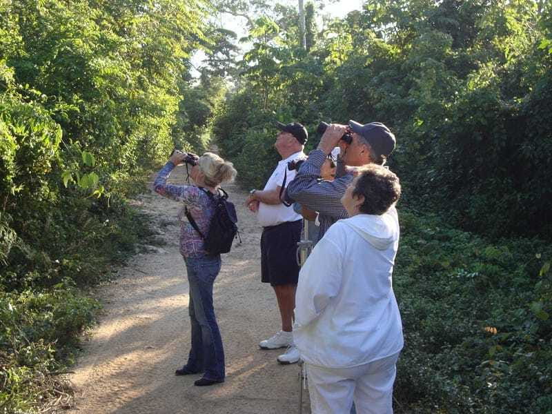 Riviera Maya: Puerto Morelos 4-Hour Bird Watching Tour - What to Bring (and What Not to Forget)