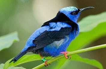 Riviera Maya: Puerto Morelos 4-Hour Bird Watching Tour - Hotel Pickup and Van Transfer: When the Day Gets Real