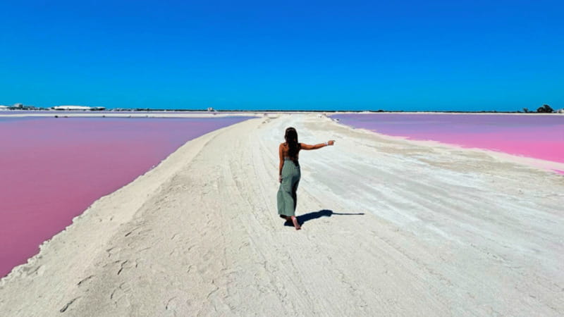 Riviera Maya: Rio Lagartos & Las Coloradas Day Trip w/Lunch - The Big Picture: Two Nature Stops, One Long Coach Day