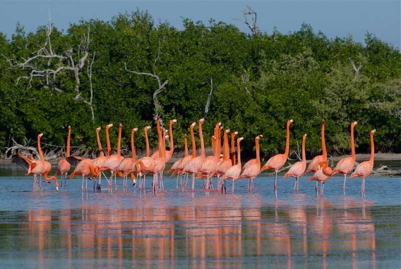 Riviera Maya: Rio Lagartos & Las Coloradas Day Trip w/Lunch - What to Pack: The Stuff That Makes the Clay Day Work
