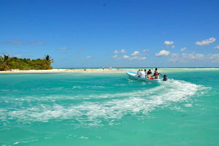 Riviera Maya: Sian Ka'an Reserve Ancient Maya Canals Tour - Chunyaxché lagoon and the ecosystem mix you can feel