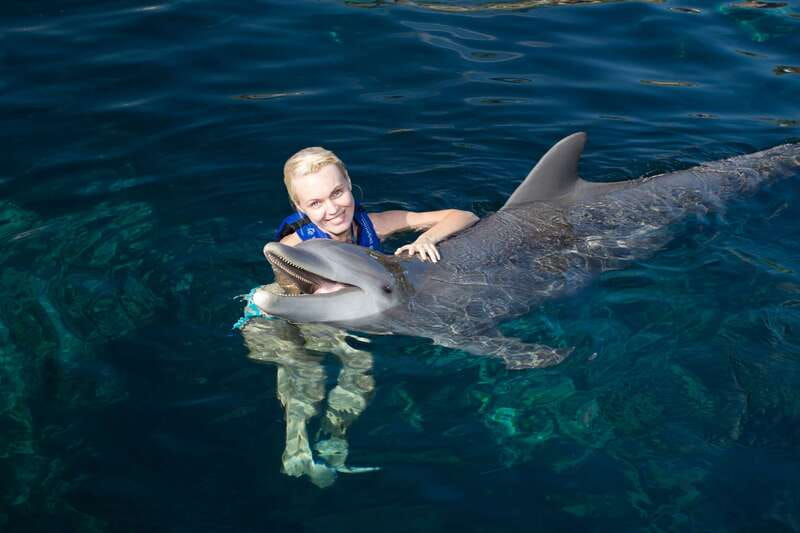 Riviera Maya: Swim with dolphins Interax - Where Interax starts in Riviera Maya (and why it matters)