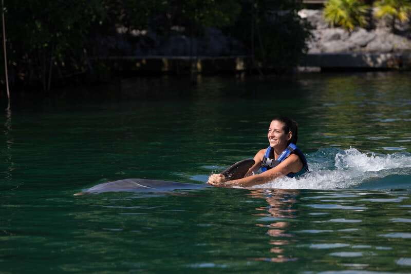 Riviera Maya: Swim with dolphins Interax - 14 dolphin activities: games, learning, and the dolphin kiss