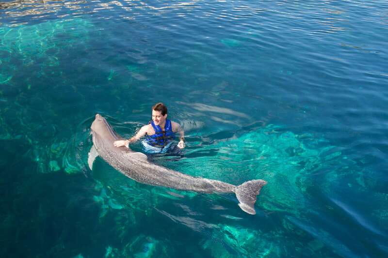 Riviera Maya: Swim with dolphins Interax - Rules that can affect your day (no phones, no jewelry)