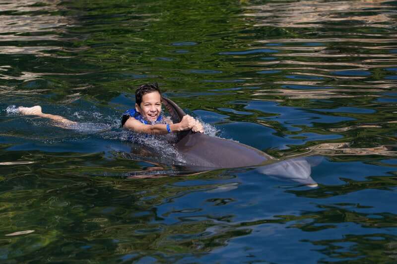 Riviera Maya: Swim with dolphins Interax - What’s included vs. what costs extra (the real value picture)